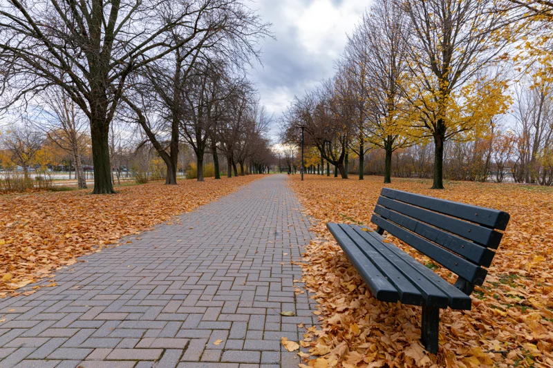 Empty park bench beside a brick-paved path covered in fallen autumn leaves
