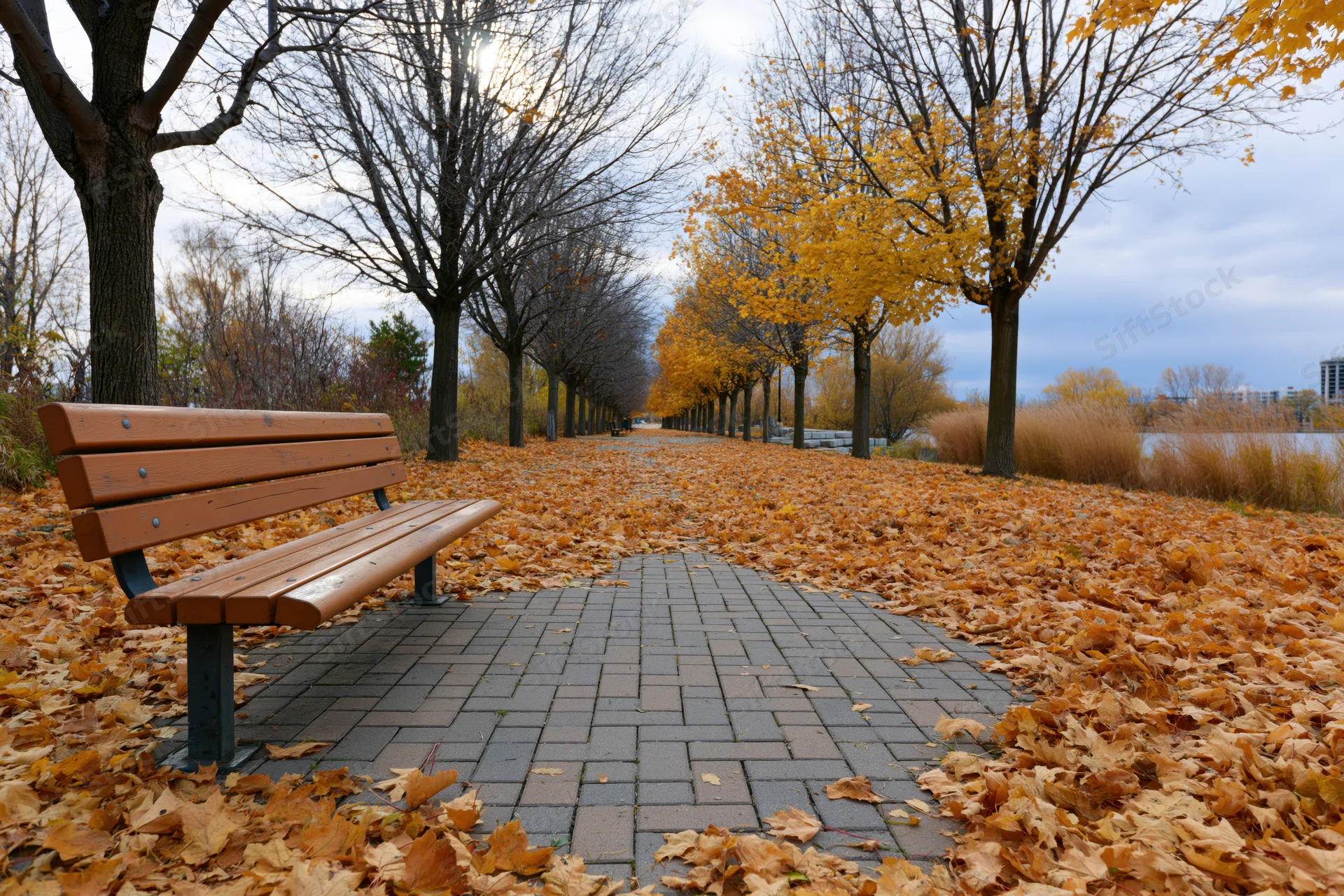 Empty park bench beside a brick-paved path covered in fallen autumn leaves under bare trees and golden foliage