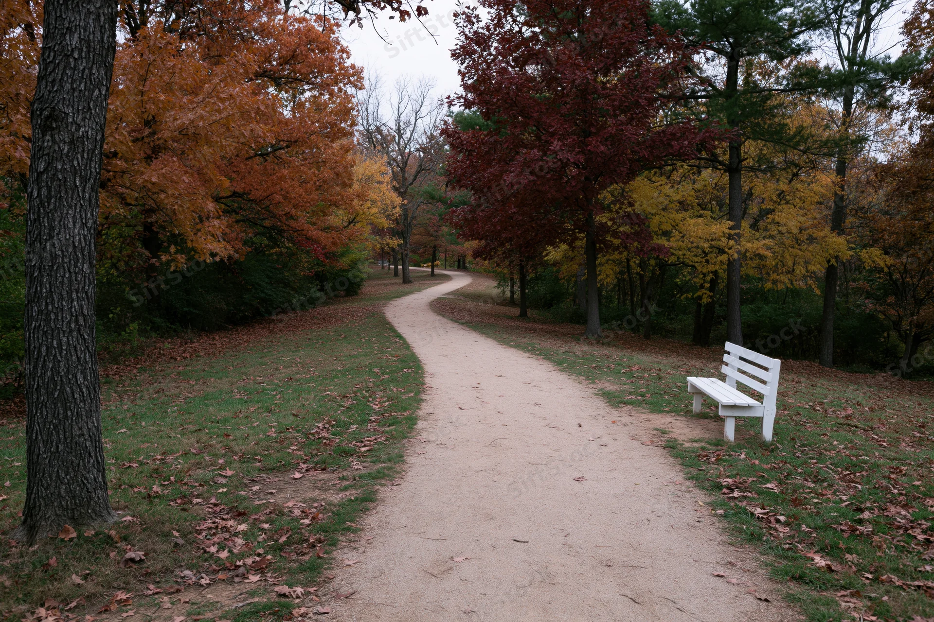 Curved dirt path winding through autumn trees in a park with a white bench beside it