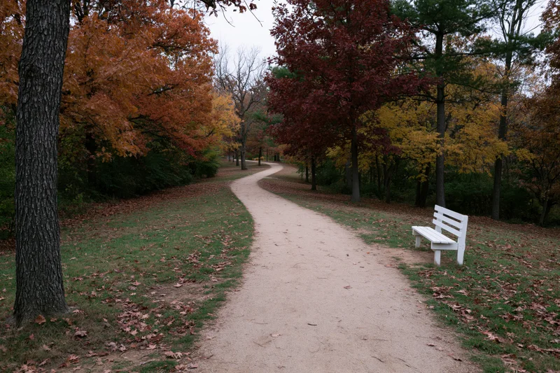 Curved dirt path winding through autumn trees in a park with a white bench beside it