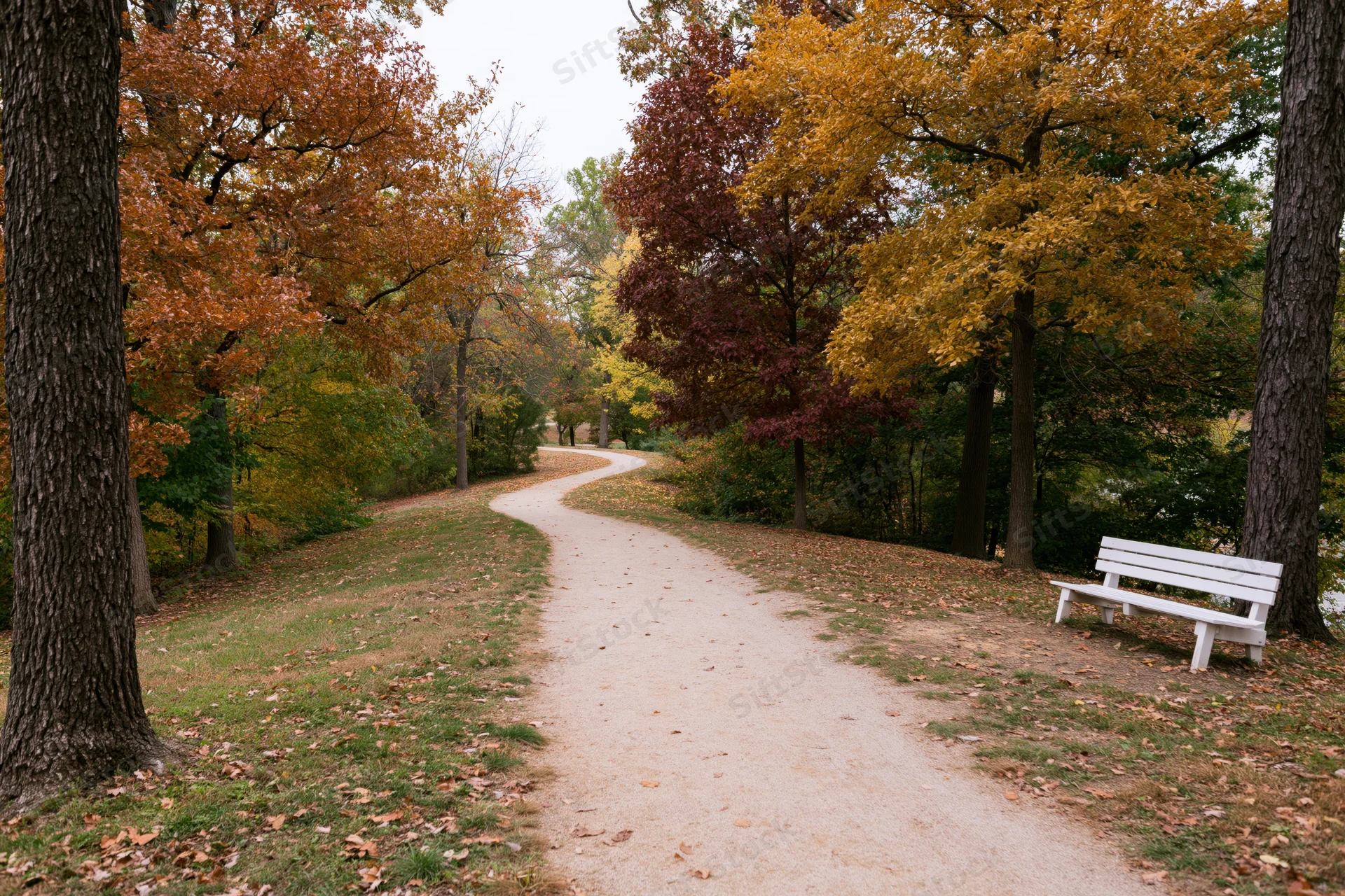 Winding dirt path through autumn trees in a park with a white bench on the side