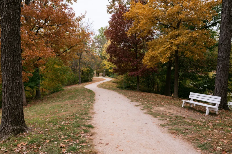 Winding dirt path through autumn trees in a park with a white bench on the side