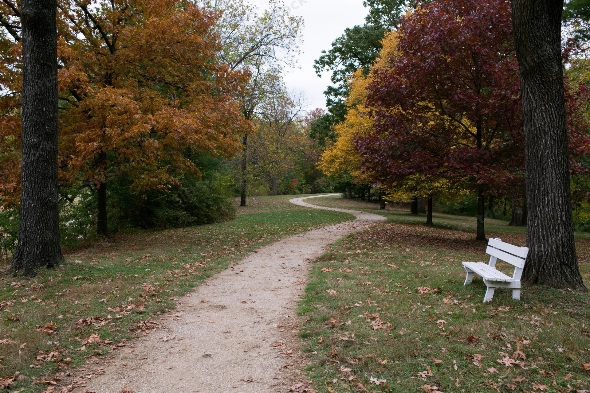 Curving path through autumn trees in a park with a white bench beside it