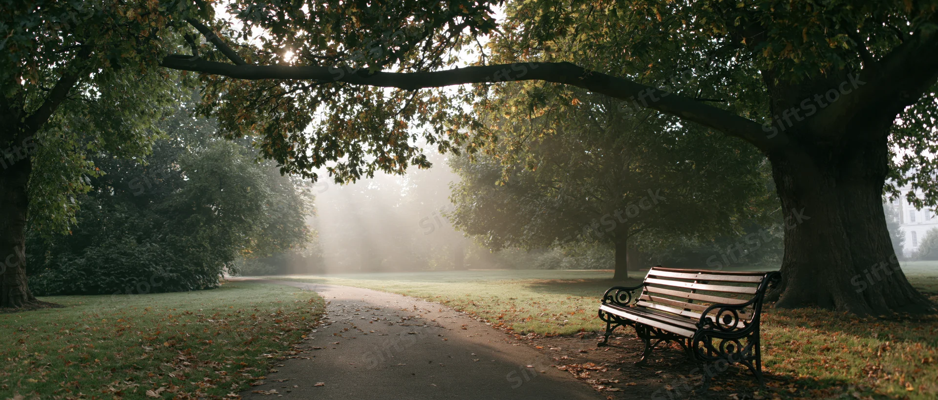 Empty park path lined with trees and a bench in early autumn morning mist