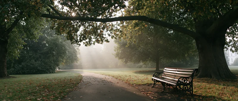 Empty park path lined with trees and a bench in early autumn morning mist