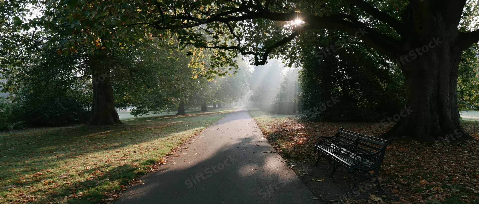 Empty park path lined with trees and a bench in early autumn morning light