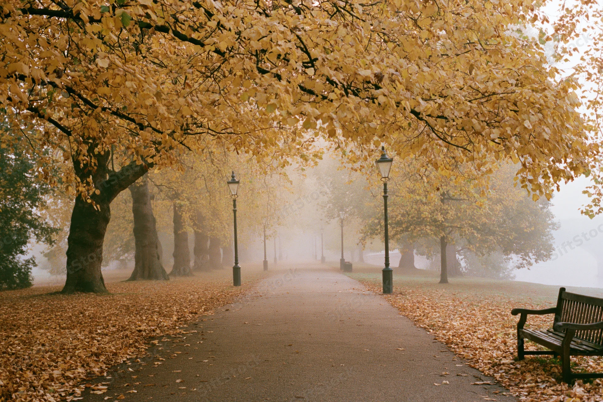 Autumn park pathway lined with vintage lampposts and golden trees, covered in fallen leaves, foggy morning scene