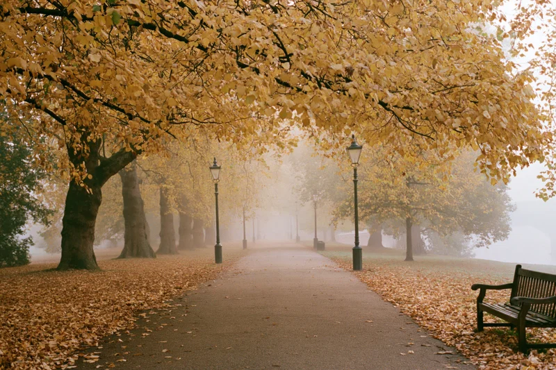 Autumn park pathway lined with vintage lampposts and golden trees, covered in fallen leaves, foggy morning scene