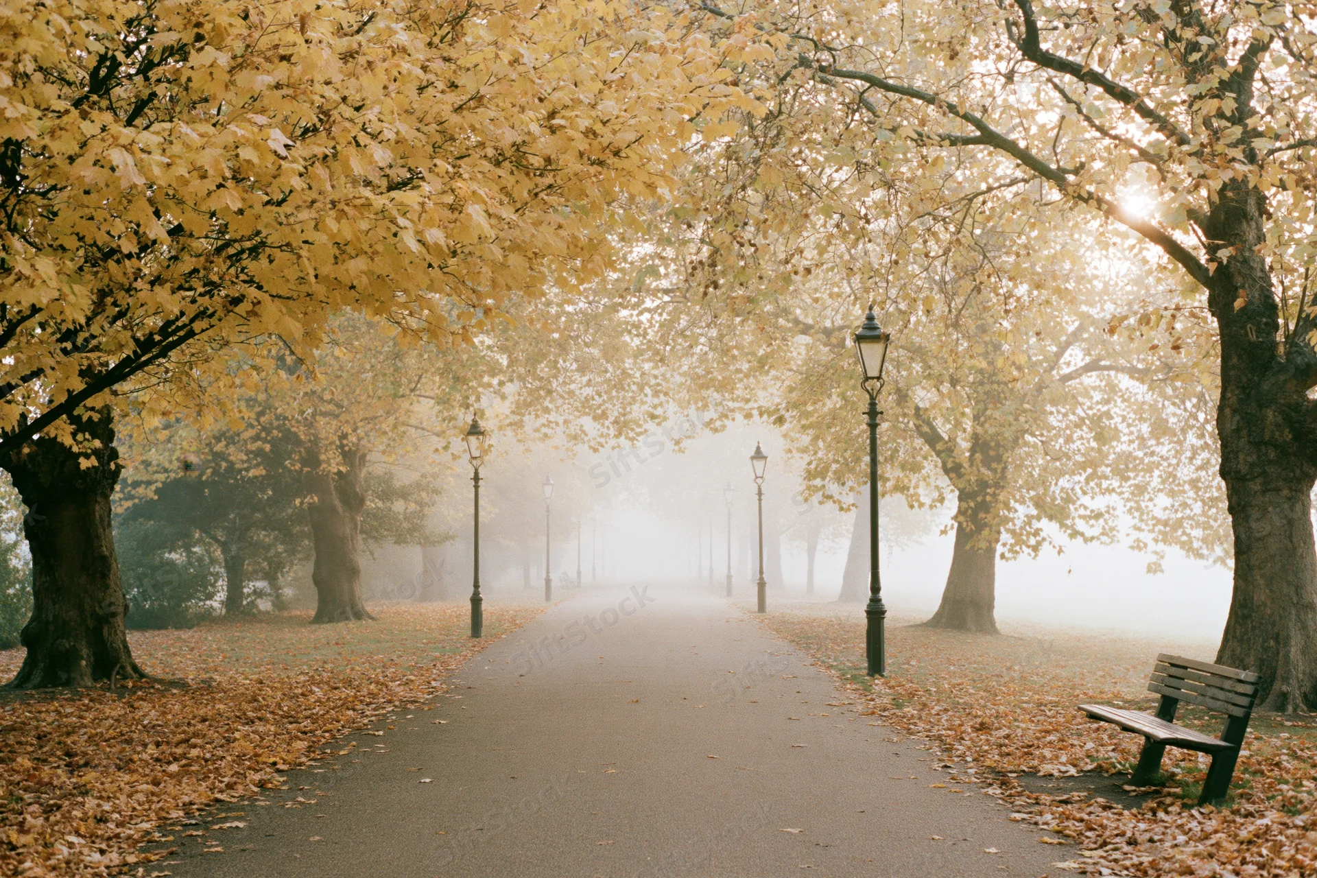 Autumn park pathway lined with vintage lampposts and golden trees in foggy morning light