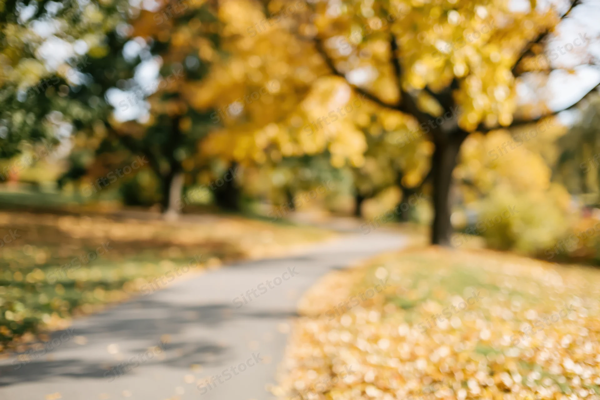 Paved path winding through autumn park lined with trees and fallen leaves