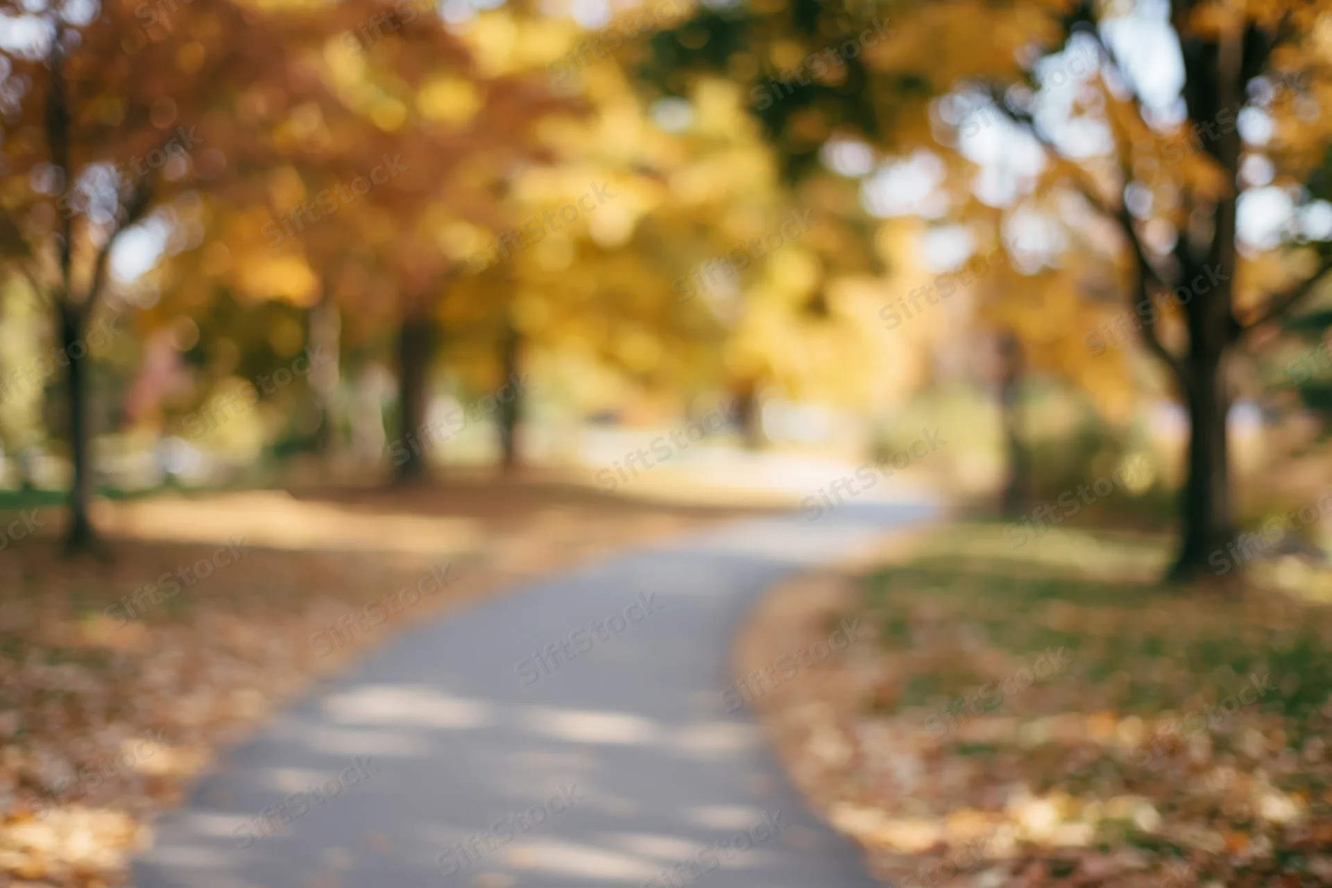 Winding paved path through autumn park lined with trees and fallen leaves