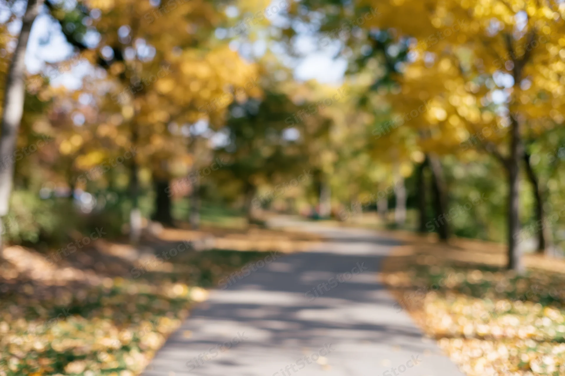 Paved path winding through autumn park lined with trees and fallen leaves