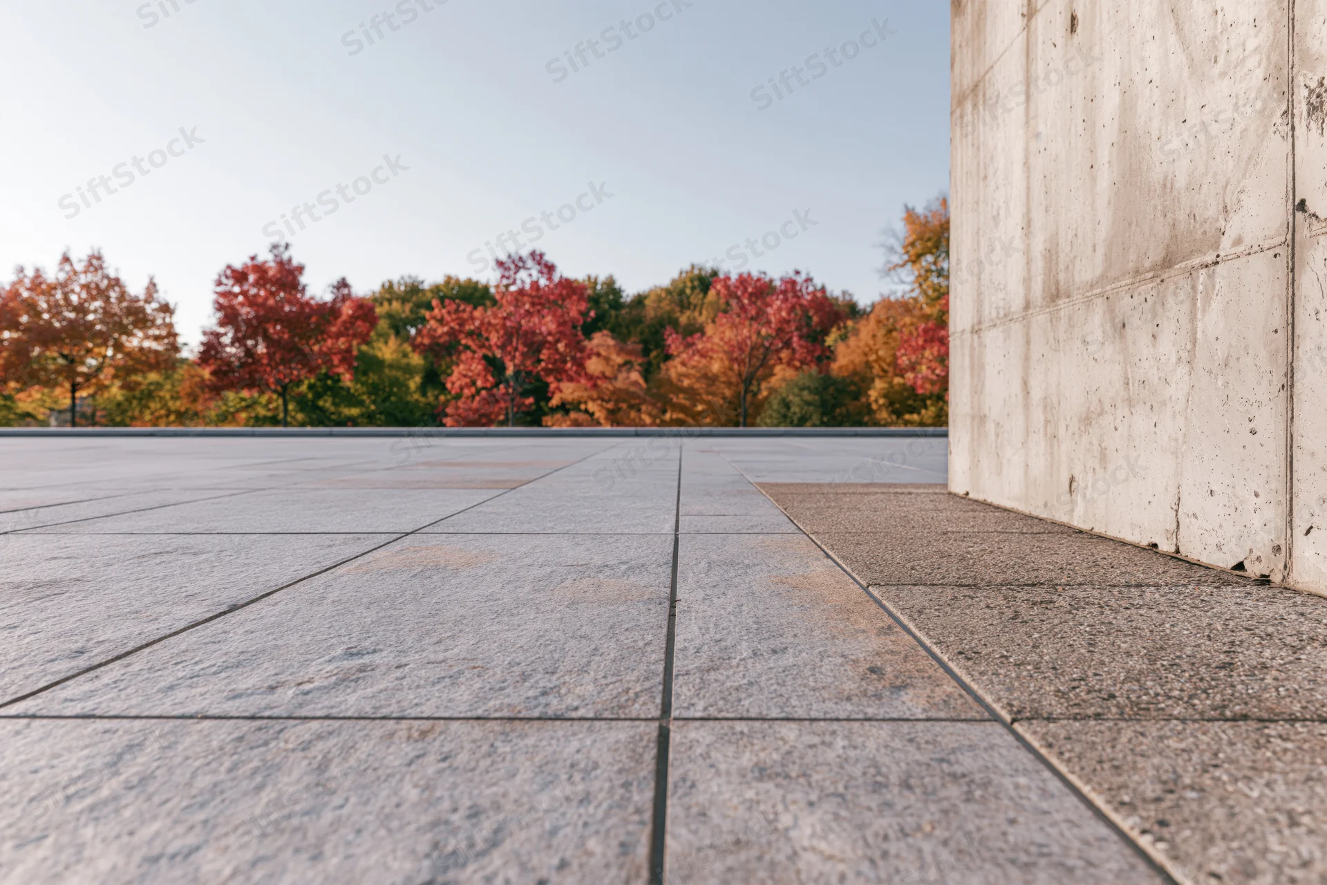 Polished granite plaza stretching toward a treeline of autumn trees in an urban park setting