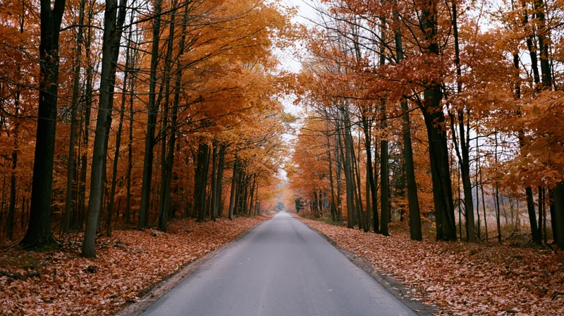 Rural road lined with tall trees in peak autumn foliage, covered in fallen orange leaves