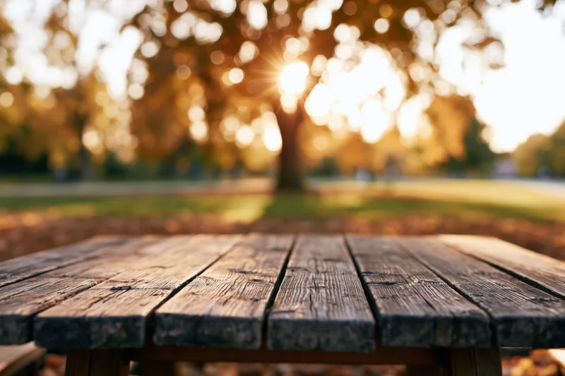 Weathered wooden table surface in a park at sunset with blurred autumn trees in background