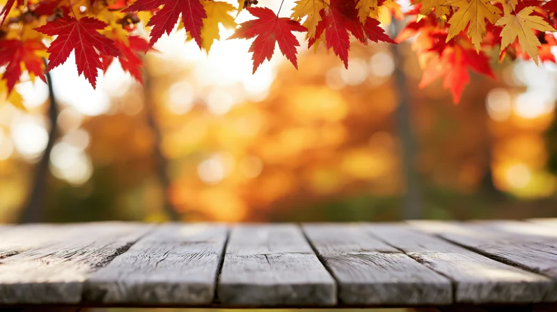 Rustic wooden table surface in foreground with autumn maple leaves above and blurred forest background