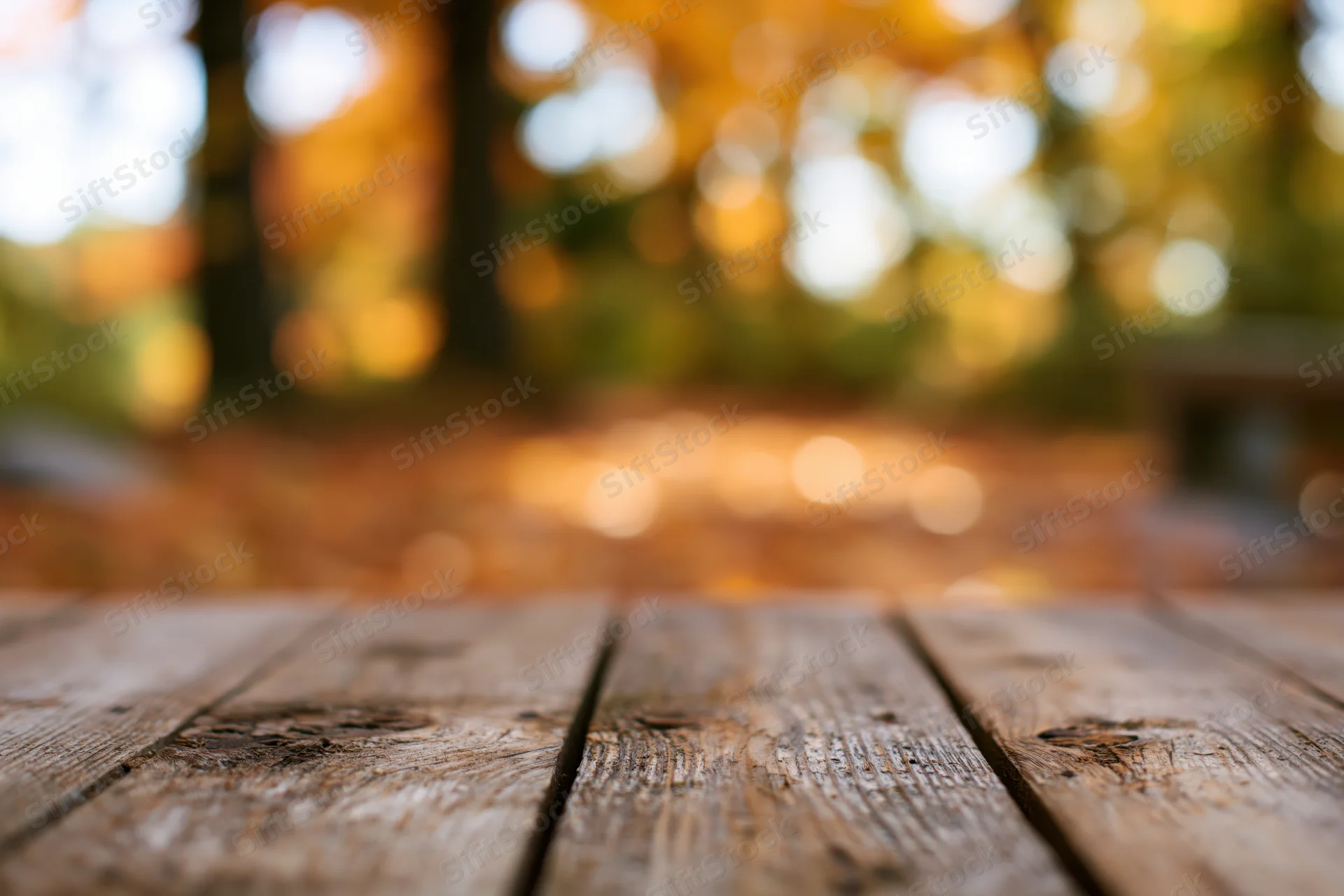 Rustic wooden table surface in a forest setting with autumn foliage blurred in the background