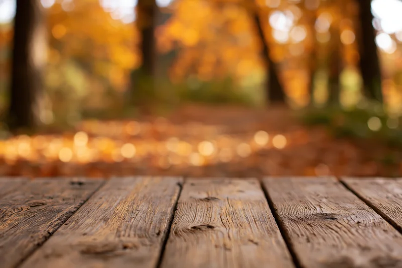 Rustic wooden table surface in a forest with autumn foliage in the background