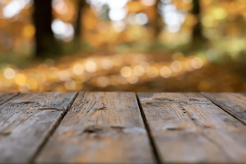 Rustic wooden table surface in a forest setting with autumn foliage blurred in the background