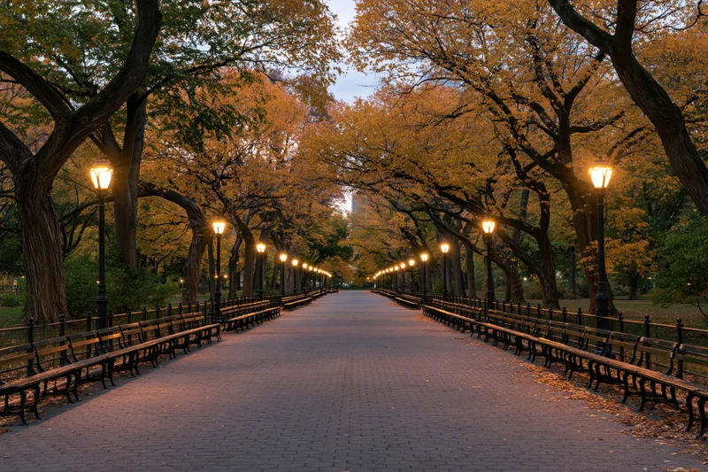 Tree-lined park promenade at dusk with benches and lampposts along a brick pathway