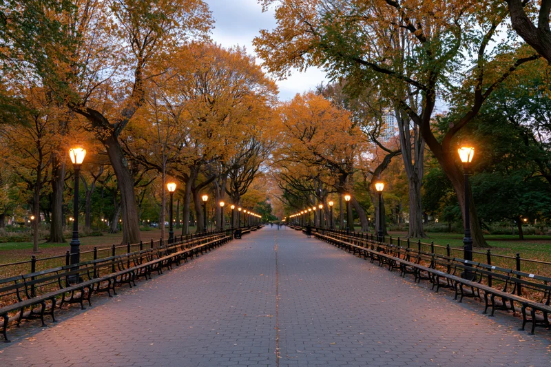 Tree-lined park promenade at dusk with benches and lampposts along a brick pathway