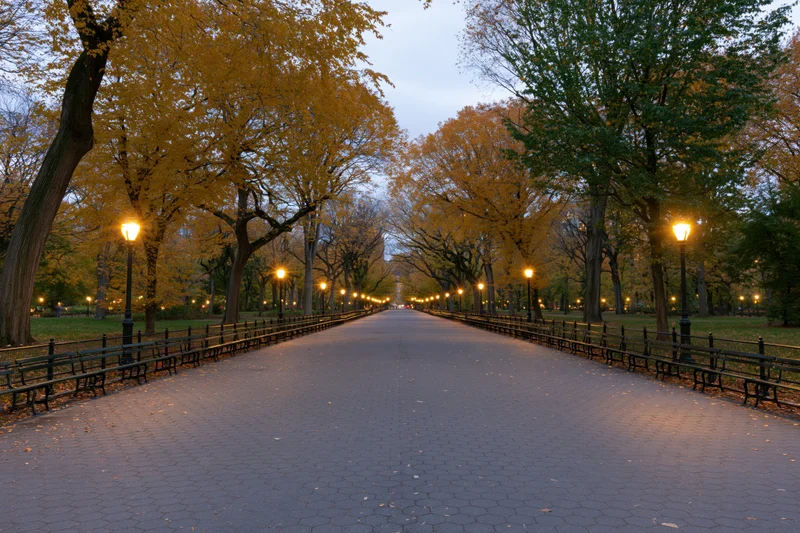 Tree-lined park promenade at dusk with benches and lampposts along paved pathway