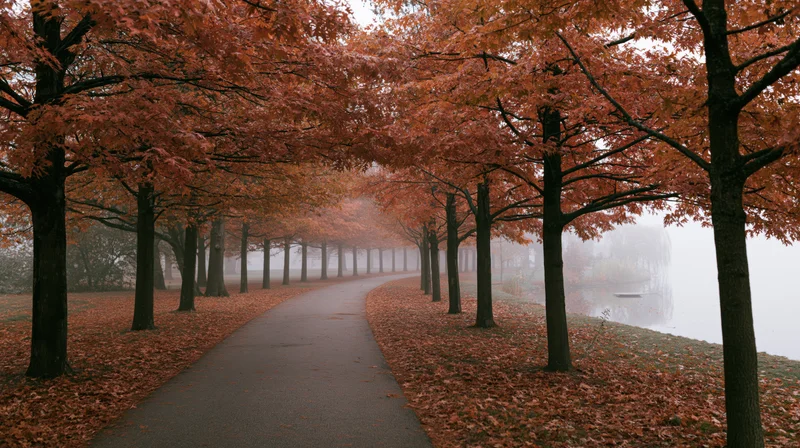 Curved path lined with autumn trees covered in orange leaves leading into misty distance beside a lake