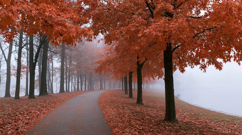 Curving path lined with orange-leafed trees leading into misty distance through a forest