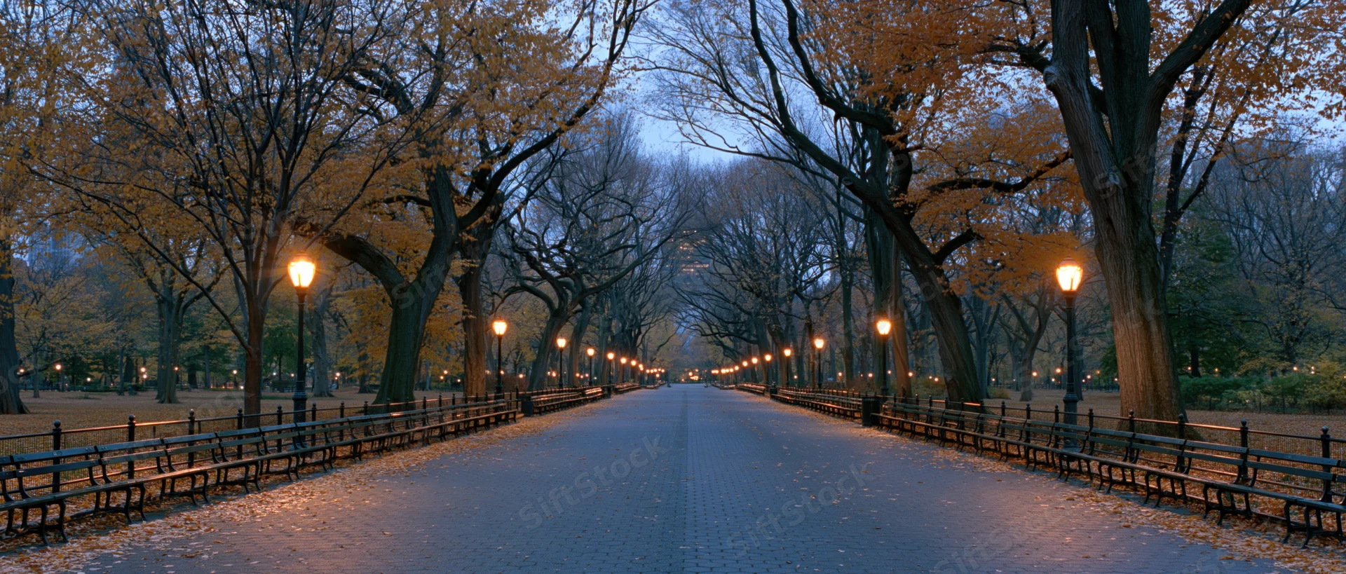 Tree-lined pedestrian path in central park at dusk with benches and lampposts along the sides