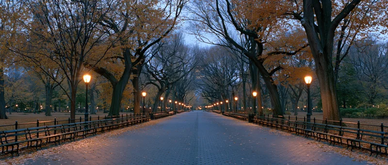 Tree-lined pedestrian path in central park at dusk with benches and lampposts along the sides