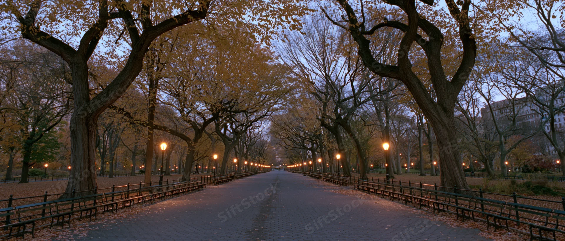 Tree-lined pathway in central park at dusk with benches and autumn foliage