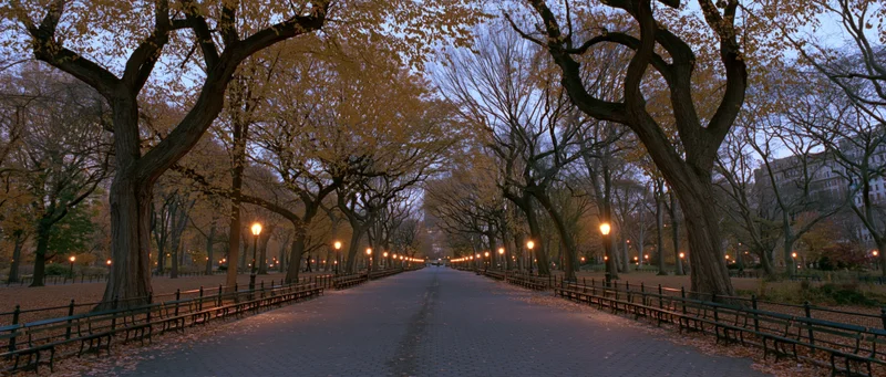 Tree-lined pathway in central park at dusk with benches and autumn foliage