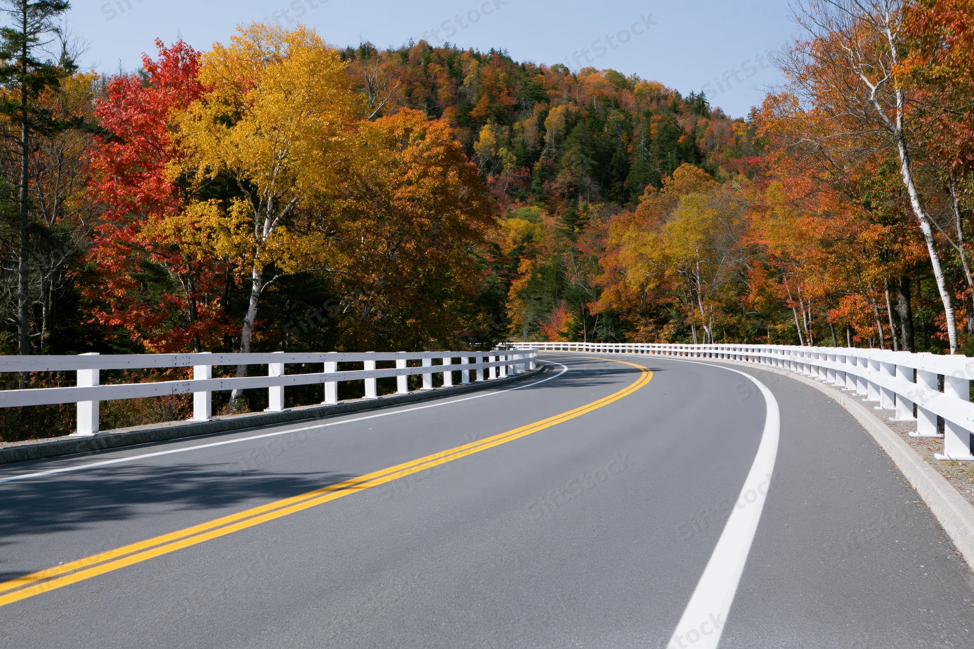 Winding asphalt highway curving through autumn forest with colorful foliage and white guardrails