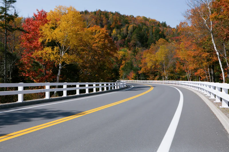 Winding asphalt highway curving through autumn forest with colorful foliage and white guardrails