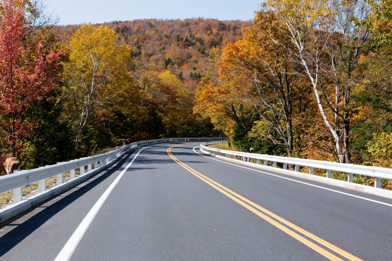 Winding asphalt highway curving through autumn forest with colorful foliage and guardrails