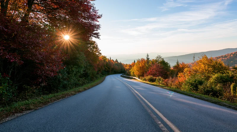 Winding asphalt road curving through autumn forest with sunburst at horizon