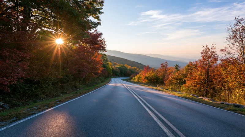 Winding two-lane asphalt road through autumn forest at sunset