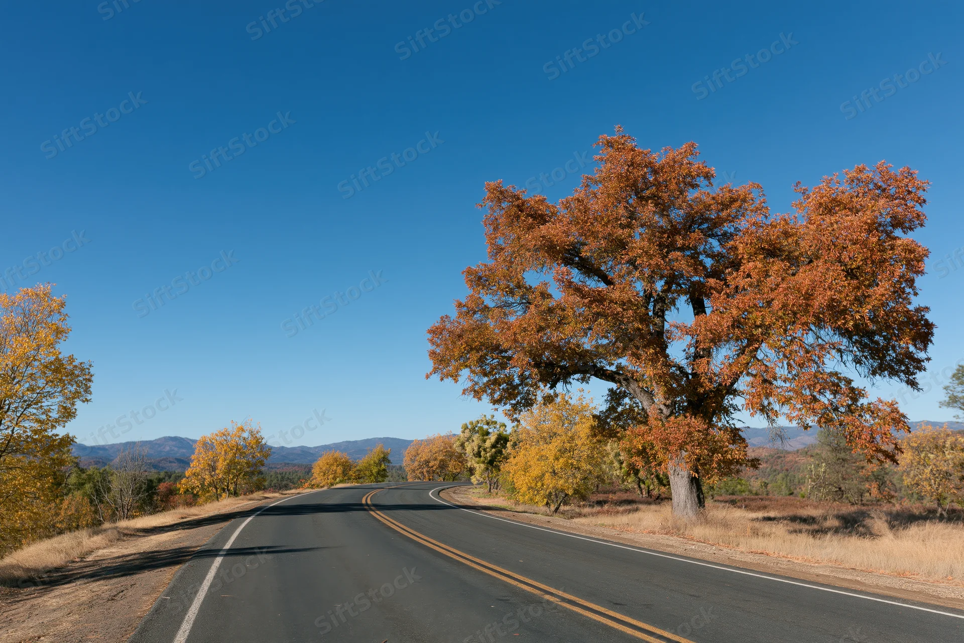 Curving two-lane asphalt road through autumn landscape with colorful trees and distant mountains under clear blue sky
