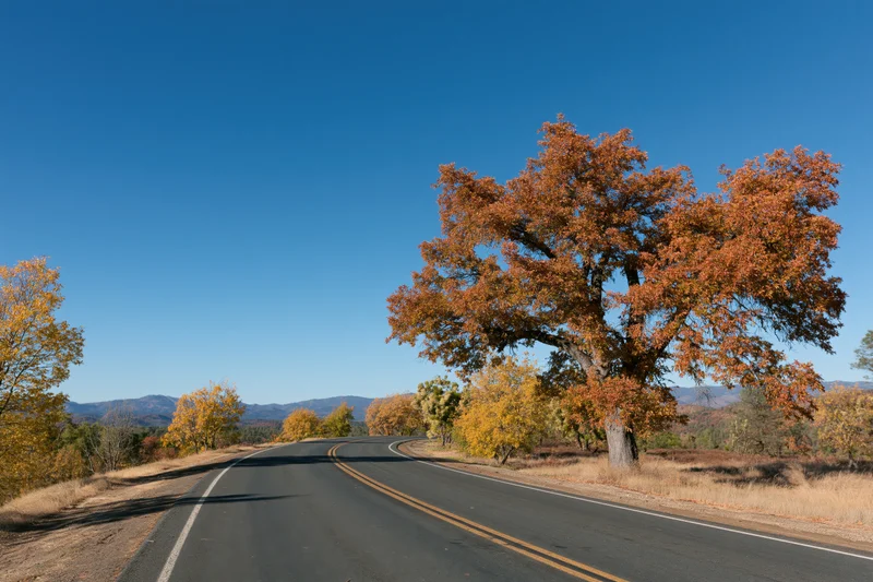 Curving two-lane asphalt road through autumn landscape with colorful trees and distant mountains under clear blue sky
