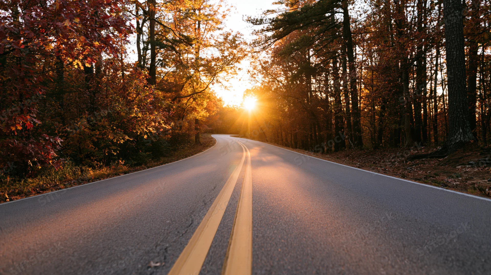 Winding asphalt road through autumn forest at sunset