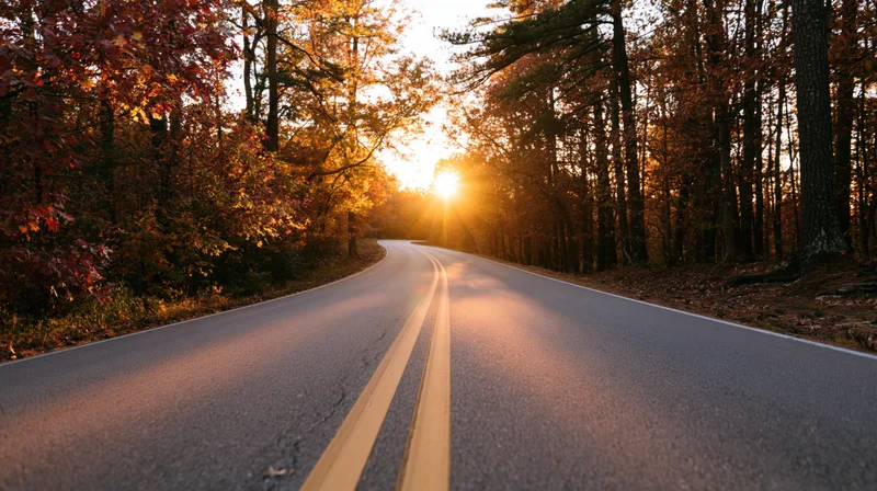 Winding asphalt road through autumn forest at sunset