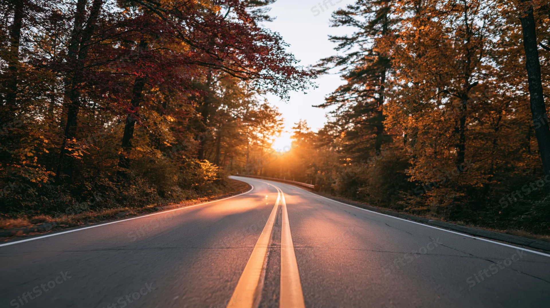 Winding asphalt road through autumn forest at sunset