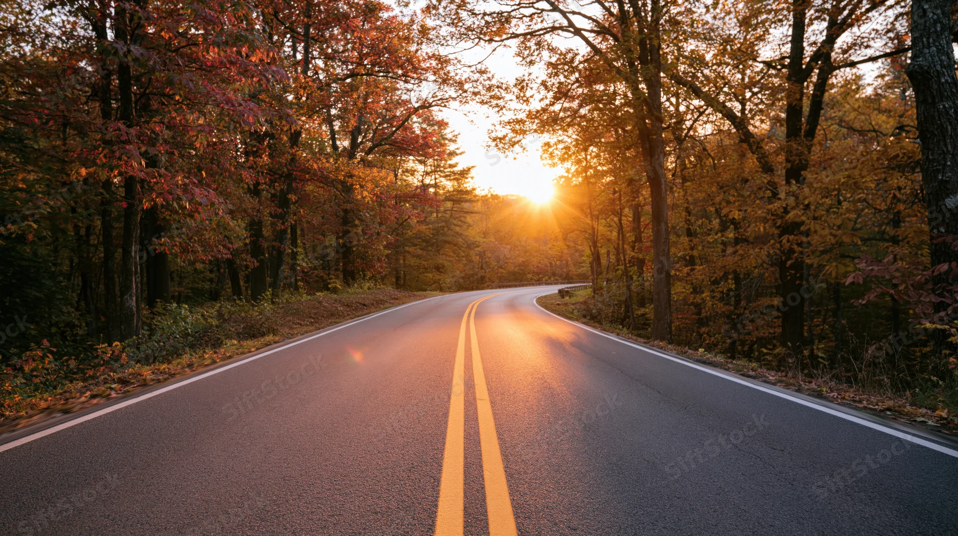 Winding asphalt road through autumn forest at sunset