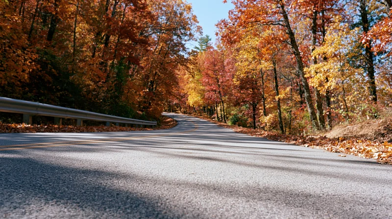 Winding asphalt road curving through autumn forest with colorful foliage and guardrail on side
