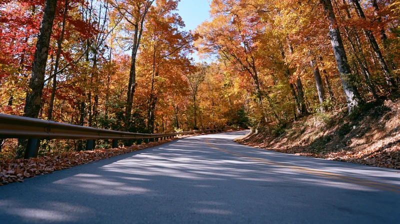 Winding asphalt road through autumn forest with colorful foliage and guardrail on side