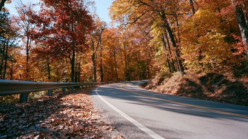 Winding asphalt road curving through autumn forest with colorful foliage and guardrail along roadside