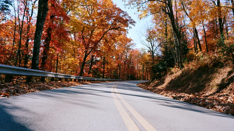 Winding asphalt road curving through autumn forest with colorful foliage and guardrail on side