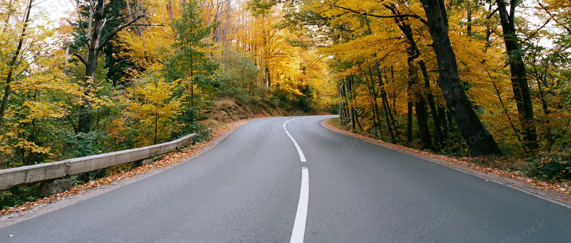 Winding asphalt road curving through autumn forest with yellow foliage and fallen leaves along the sides