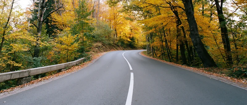 Winding asphalt road curving through autumn forest with yellow foliage and fallen leaves along the sides