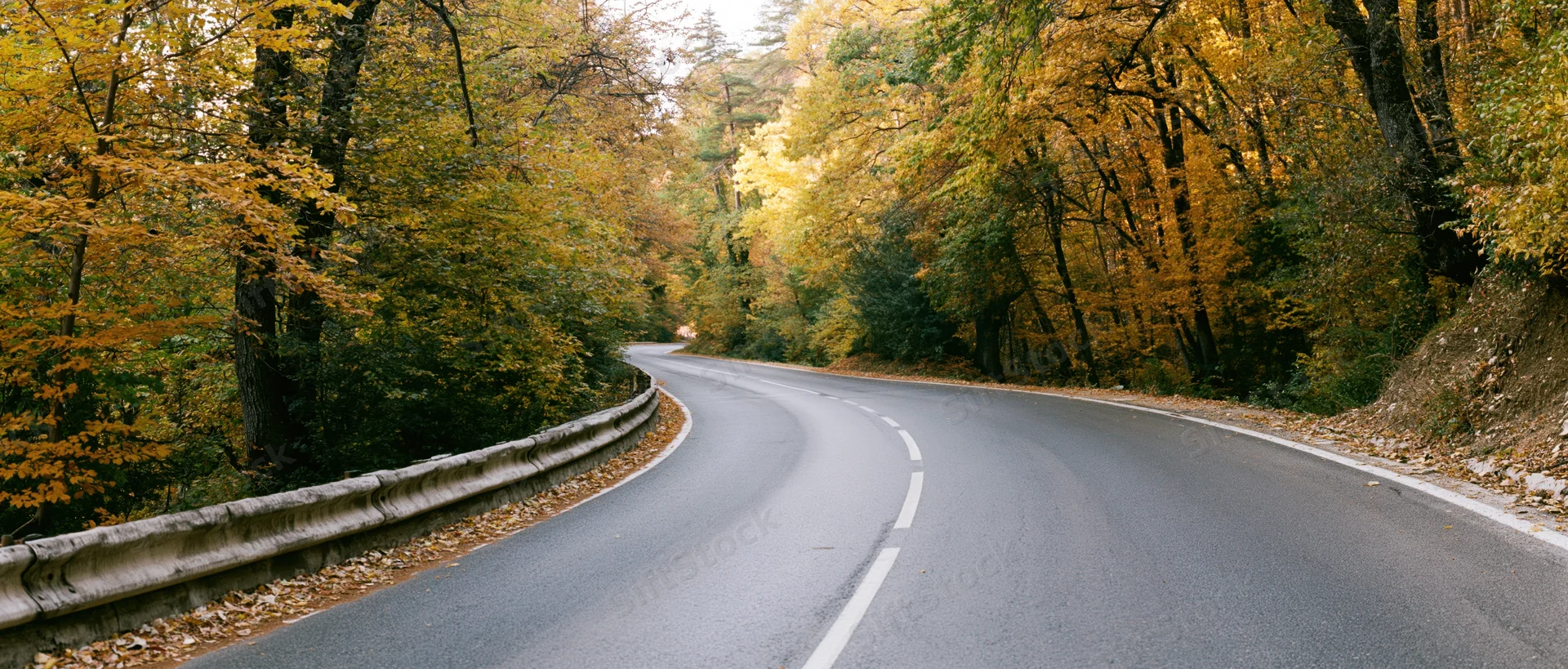 Winding asphalt road curving through autumn forest with golden foliage and guardrail on one side